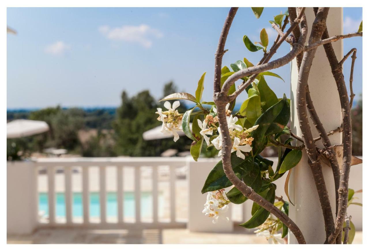 Marinelli Guest House チステルニーノ エクステリア 写真